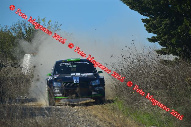 DSC_1367.JPG